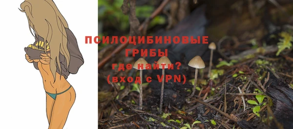 дурь Ступино
