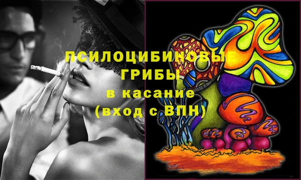 молекула духа Волосово