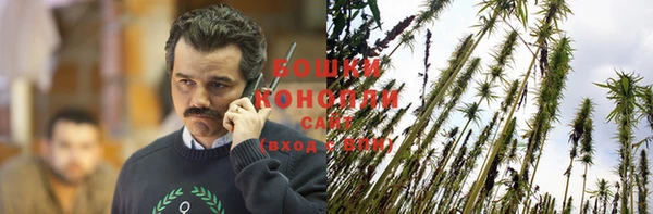 молекула духа Волосово