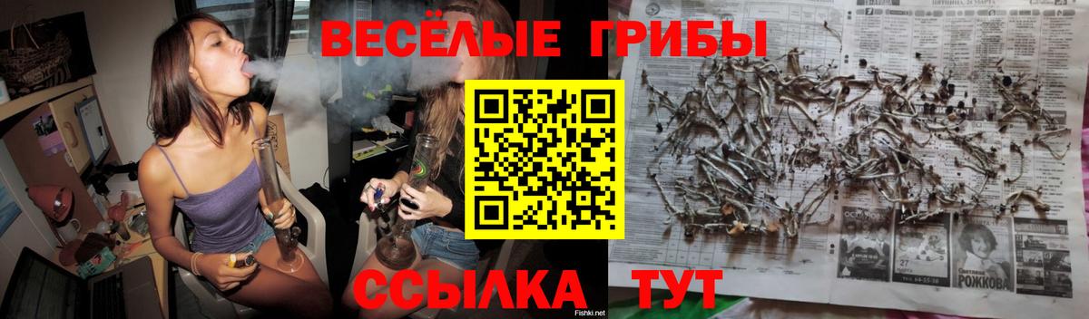 Псилоцибиновые грибы Magic Shrooms Назарово