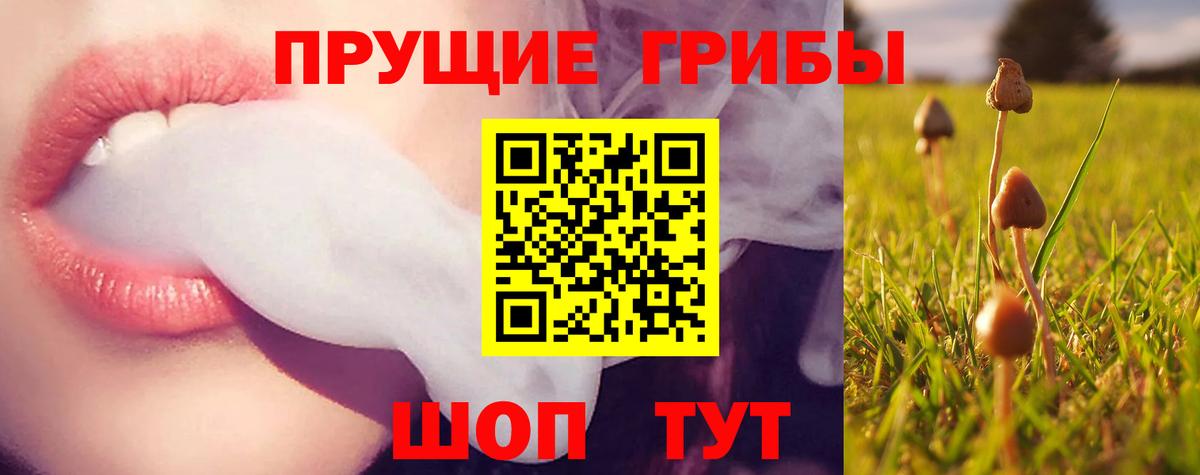 Назарово  Псилоцибиновые грибы GOLDEN TEACHER  Вход с VPN 